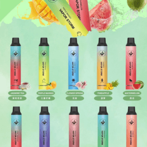 Vapor Storm 風暴 5000 Mesh 芯口感穩定爆發  650mAh 穩定長效動力 大容量果汁一機搞定 10ml 巨量裝載 台灣現貨